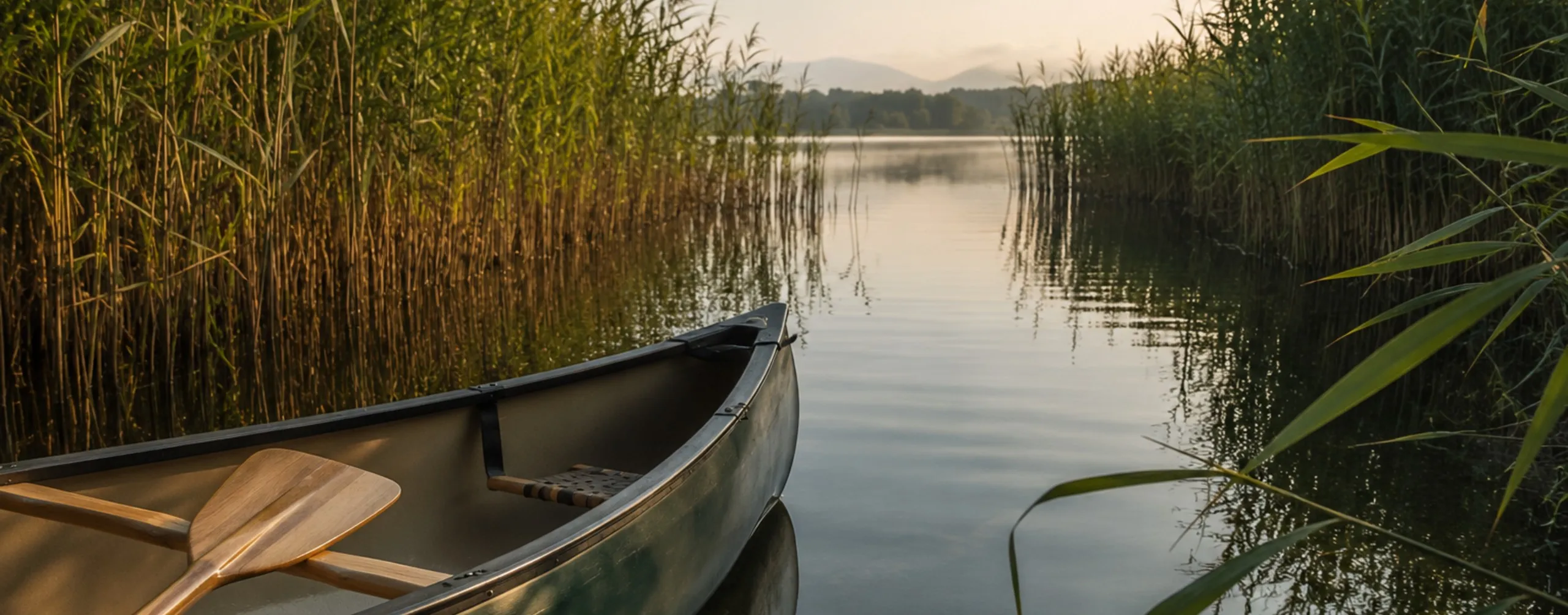 Inside the Reed Beds of Lake Varese by Canoe | Pollo Journal