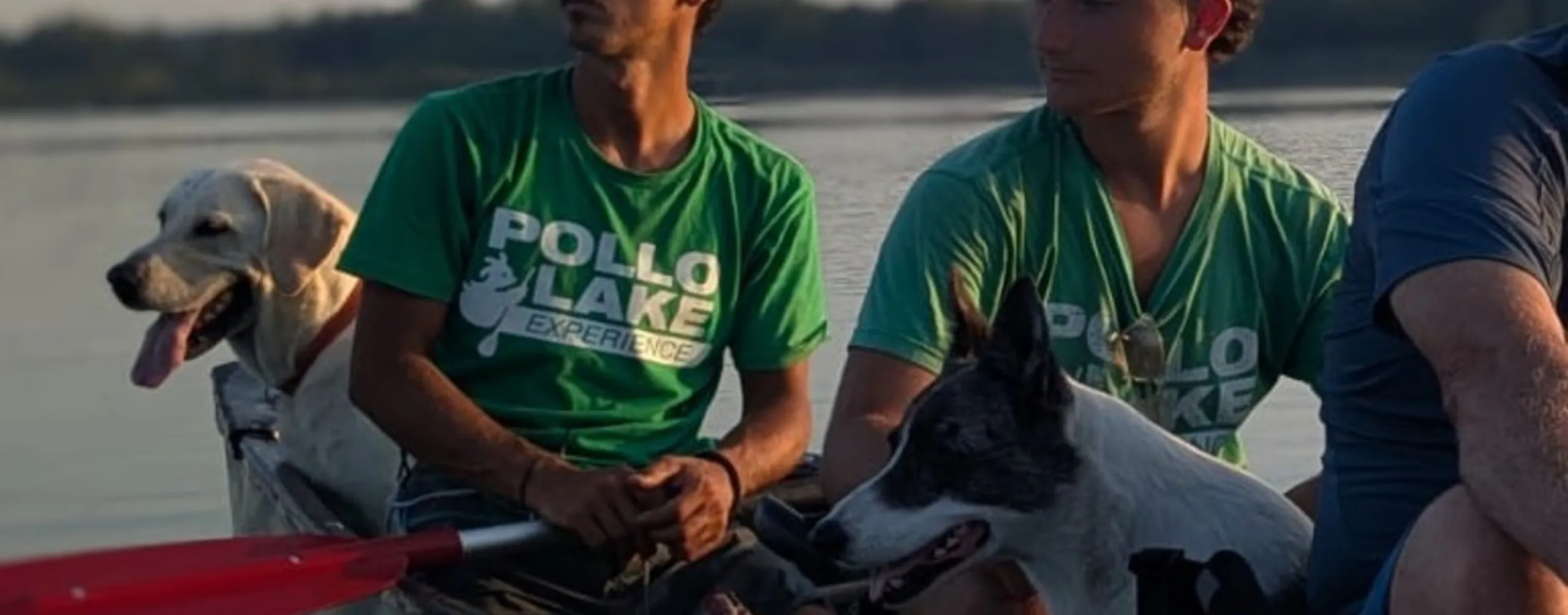Dog-Friendly Lake Maggiore: Canoe Experiences with Your Dog