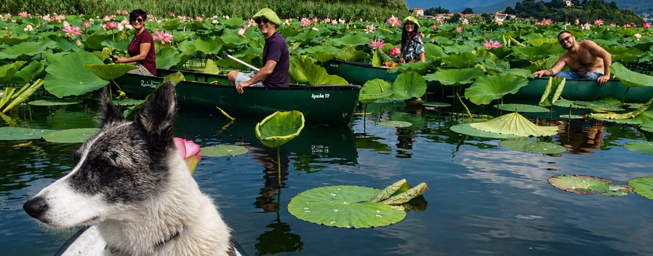 PolloLake | Lake Experiences, Excursions & Water Sports