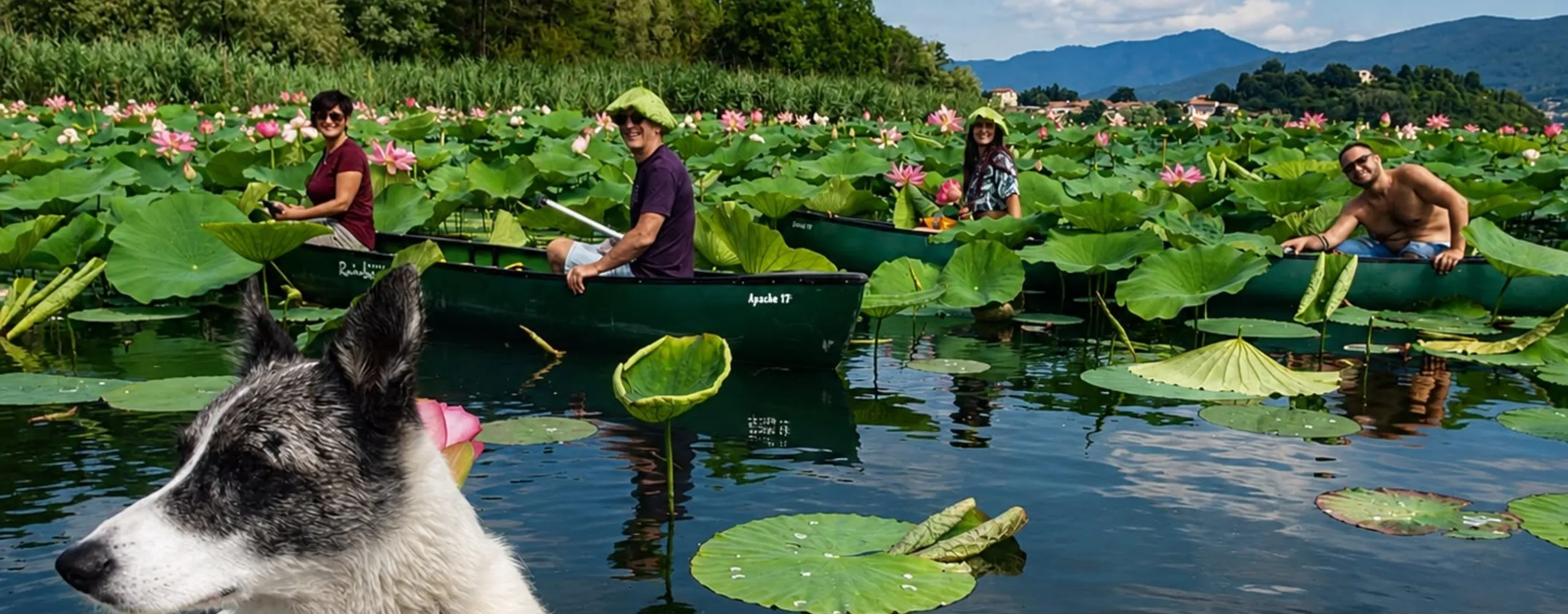 Meeting Loto Experience | Water Lilies on Lake Varese