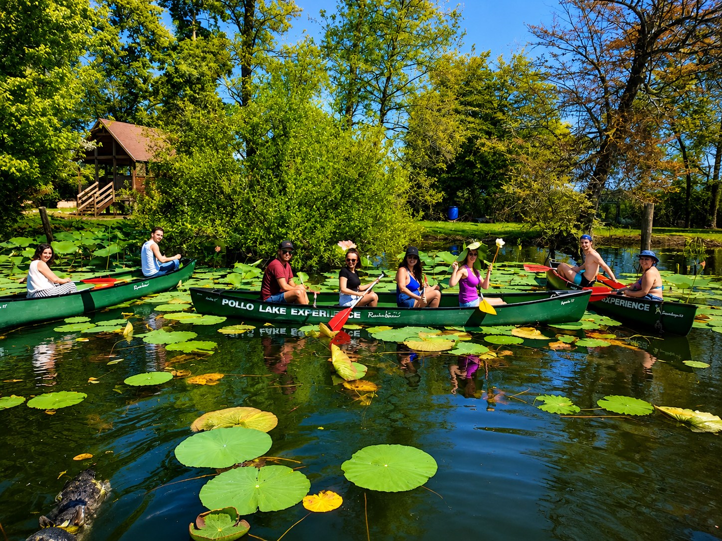Canadian Canoe & Lotus Flowers | Isolino Virginia, Lake Varese
