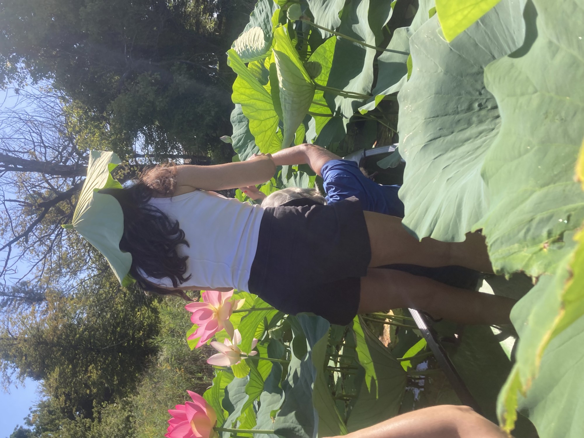 Canadian Canoe & Lotus Flowers | Isolino Virginia, Lake Varese