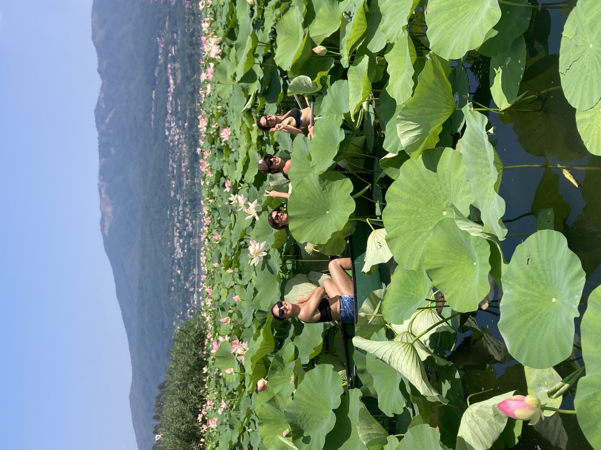 Canadian Canoe & Lotus Flowers | Isolino Virginia, Lake Varese